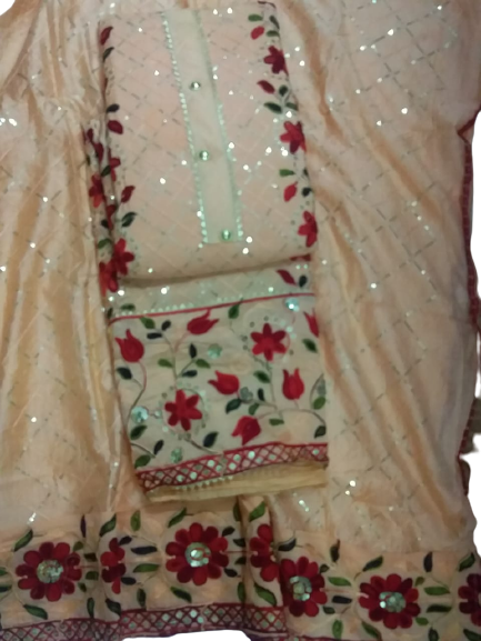 Fancy embroidery suit