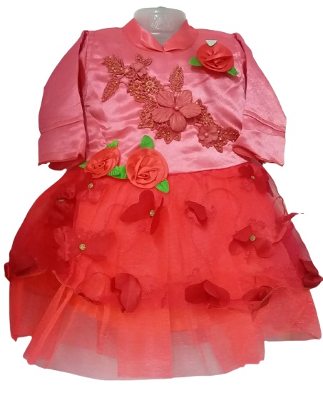 Fancy Met Silk Frock