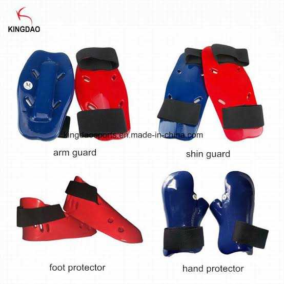 Taekwondo protectors